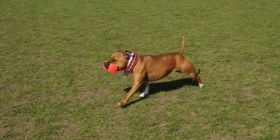 DSC04476.jpg